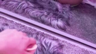 Raincitykittyy Mirror Masturbation + Dildo Fuck (4K)