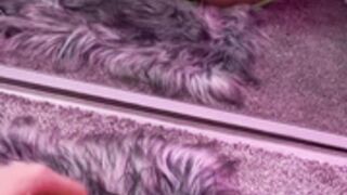 Raincitykittyy Mirror Masturbation + Dildo Fuck (4K)