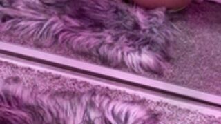 Raincitykittyy Mirror Masturbation + Dildo Fuck (4K)