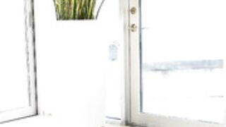 Girls aplenty on the couch