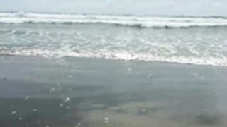 Tefylove20 totally nude in the beach