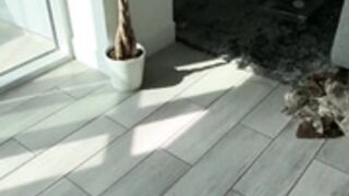 lela tape