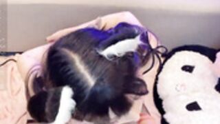 Sherry_niko VOD - Sherry_niko 实况 VOD 3