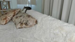 Smurf19 orgasm 2023-02-04 10_03