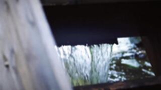 MollyRedWolf: Melina up your level with her pussy