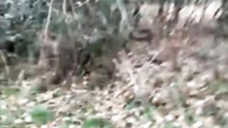 German Couple fucks outdoor