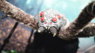 Angie Griffin - Hermoine Granger