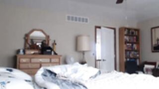 pussy 104 multi positions