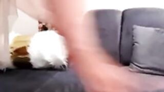 AmalArabic Busty Arabian