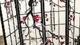 Ava addams tries it on