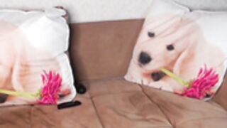 foxydiamond2020 - Milena 14 pantyhose tease