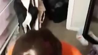 Velma give amazing bj