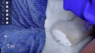 miss_vii 2023-02-16 heavy metal ass