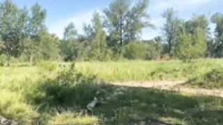 euphooria [2022-07-28 01:50:37]