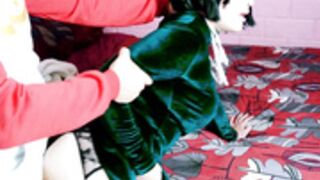 Saitama and Fubuki - SweetDarling