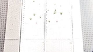 Verasun 20230222（1）