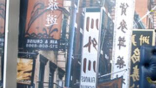 Avie Aniston 2020-02-16 18-51