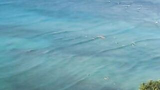 Blondeadobo hawai fuck with big facial