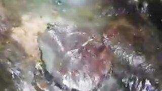 Neila promociona la amazonia