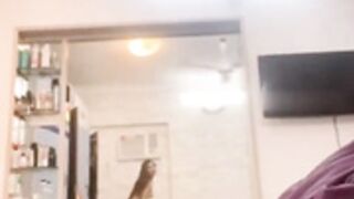 Indian hot girl removing cloth mms video