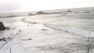 PrincessBambie in the woods