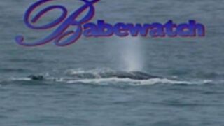 Rocki Rhodes - Boobwatch