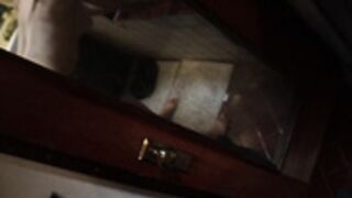 Anny Aurora - private shower fuck POV