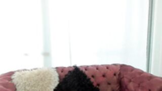 Rosetaylor - Sept-10-22