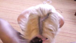 DickDrainers Nadia White Hotel Manager Doesnt See Too