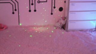 Anabel054 756