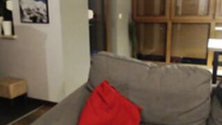 fenomenalen polish 2020-[B]