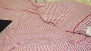 cutiepiealice lush in ass