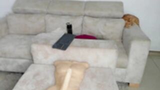 swt_molly Chaturbate Webcamshow 27/12/2021