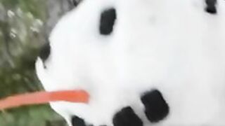 Fucking a snowman