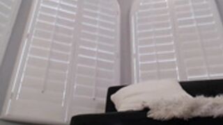 ЬĻōņԀ϶_ɍÏԀ϶ɍӿӿӿ 11-03-23