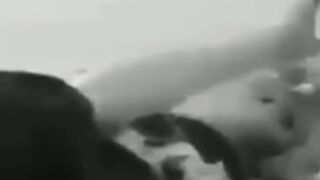 The FUNNIEST BTS Clip EVER... LowKEY Nightmare / Risk