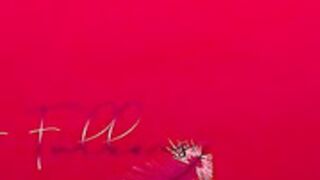 Letizia Fulkers Try On Tease