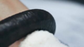 H3nt4ied - hosp1tal Lulu Chu