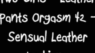 Leather lesbians 2