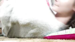 princessbambie-an-inflatable-adventure