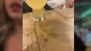 Alisoncraft restaurant bathroom show CLIP