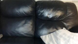 sunshinedarling1 2023-02-10