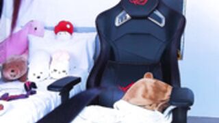 madnessalise trending toothbrush and old school dildo