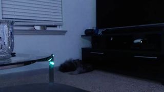 Katie webcam recording 11/04/17