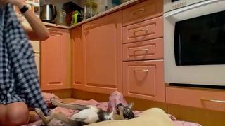 foxycleopatraxxx Webcam Recording Chaturbate 10_03_2017