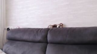 Koketochka555 20-03-2023 Chaturbate