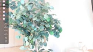 megancooks  230319  new, shy, pretty, titty flashes