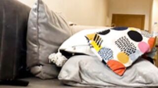 lina-morooco 20230402