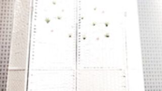 Verasun 20230406（1）