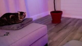 Stacy_x3_2023-03-26_00-27-00_242